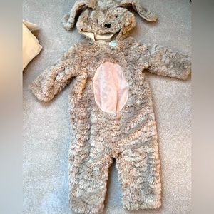 Potter barn kids dog costume